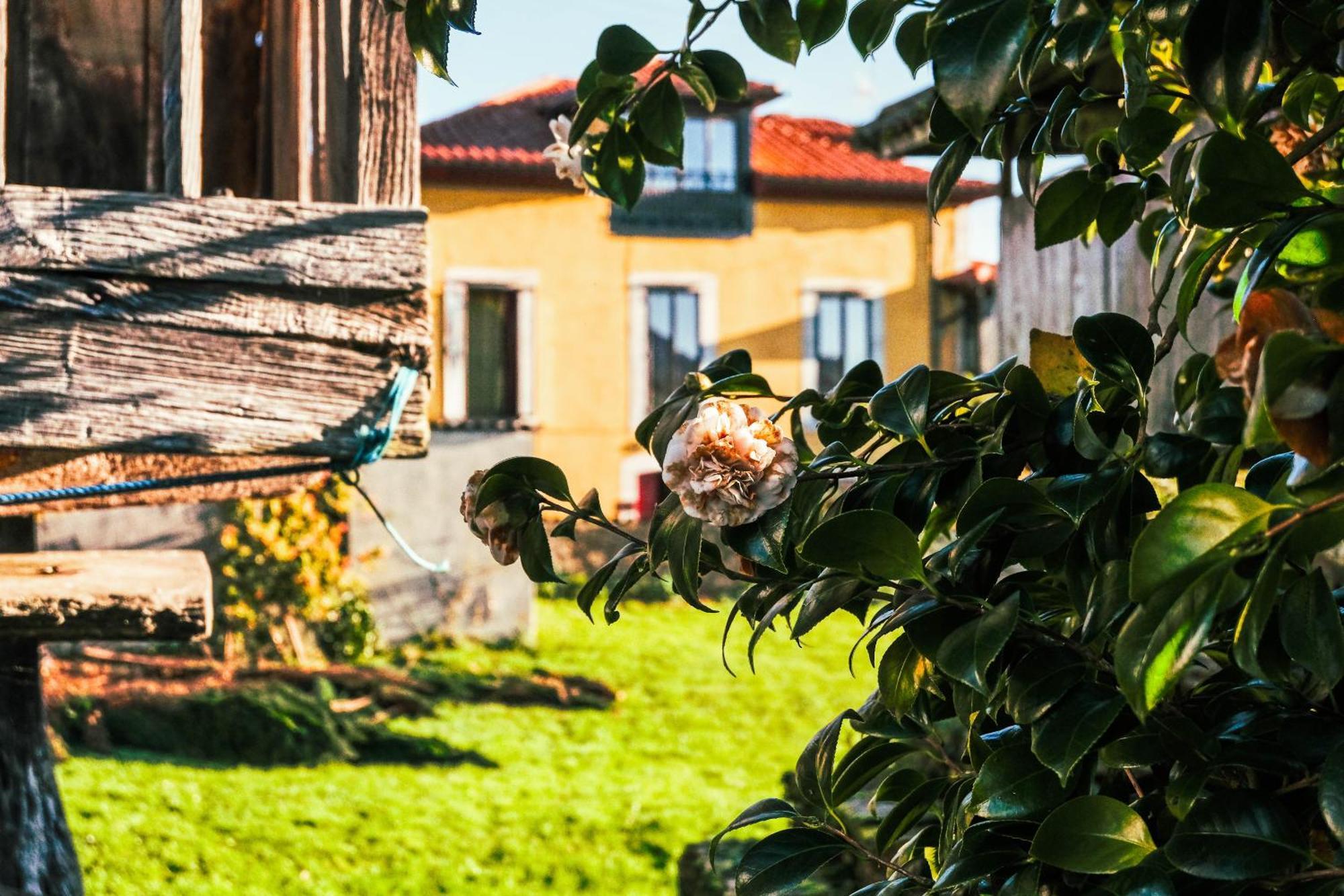 La Casona De Faedo Pension Hotel Екстериор снимка