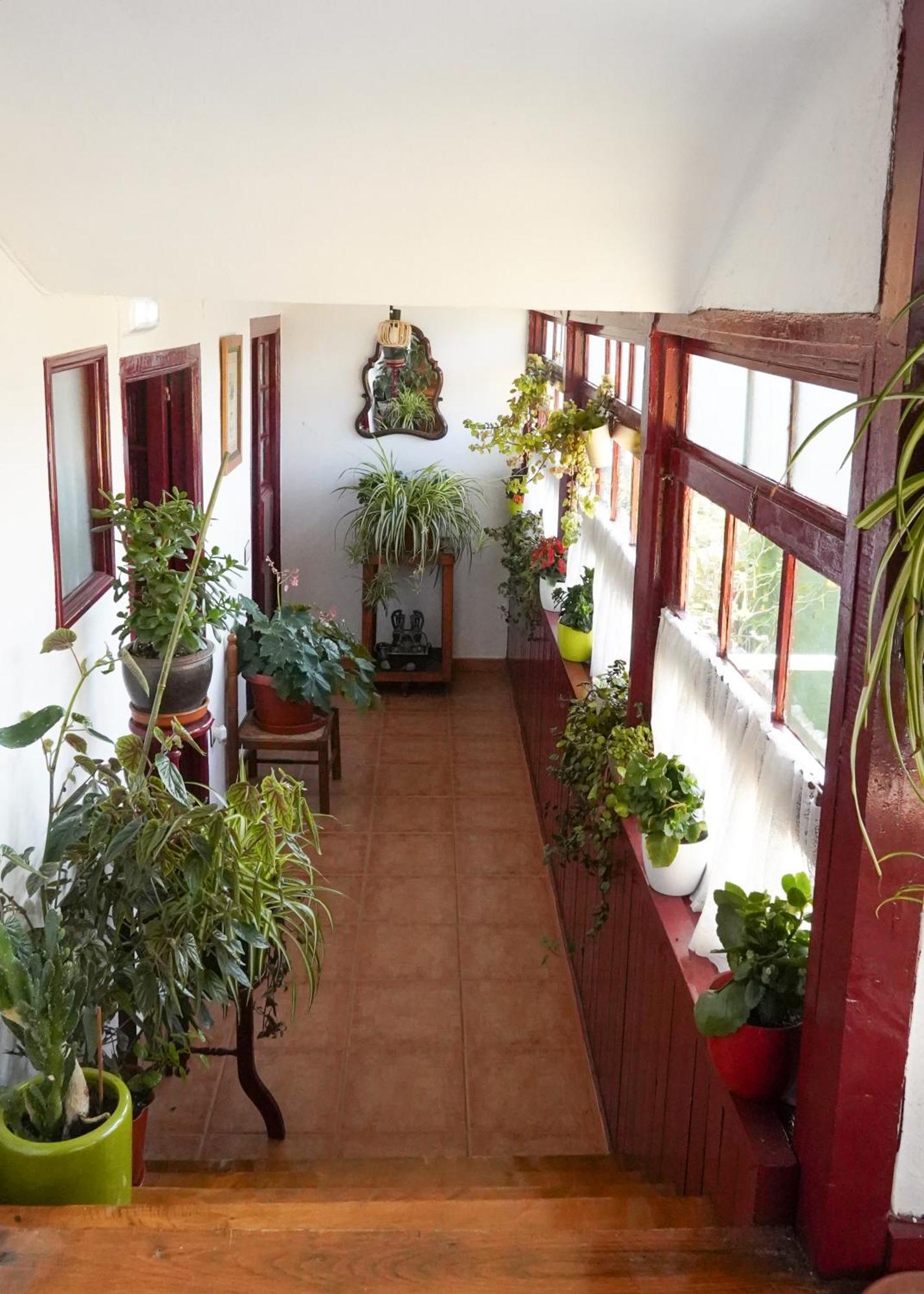 La Casona De Faedo Pension Hotel Екстериор снимка